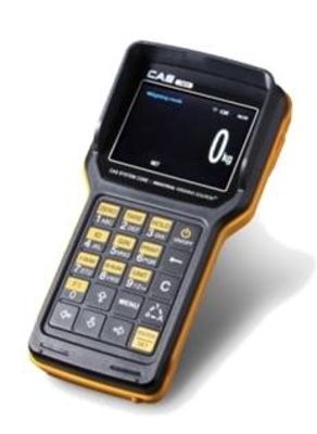 Весы CAS 2 THD RF с крюком (TW-100 ВТ)(Caston 3), цена 231 559 руб. - Крановые весы