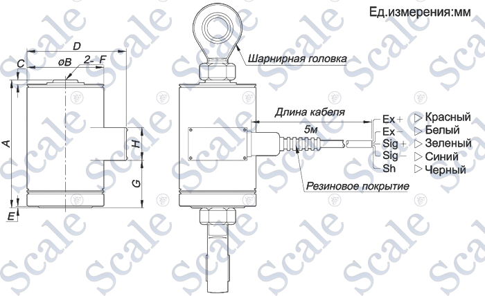 Габариты тензодатчика циллиндрического CAS CC/CT