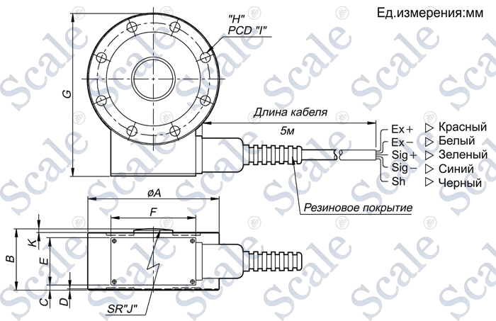 Габариты тензодатчика низкопрофильного CAS LSC