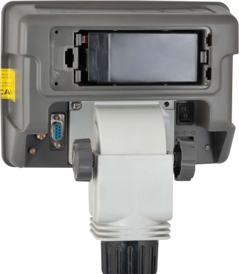 Весы CAS HD-150, цена 18 100 руб. - Напольные весы
